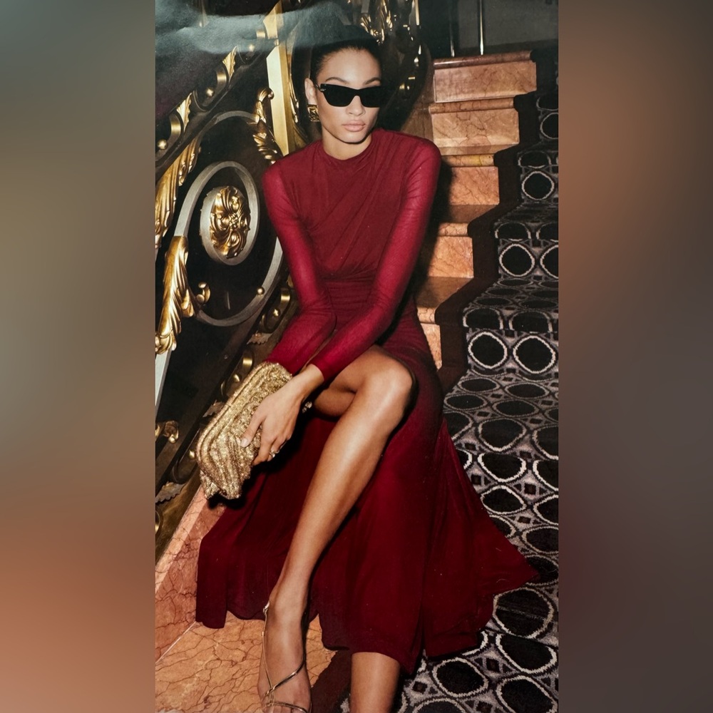 Bardot Berry Liyana Ruched Long Sleeve Mesh Dress Size S